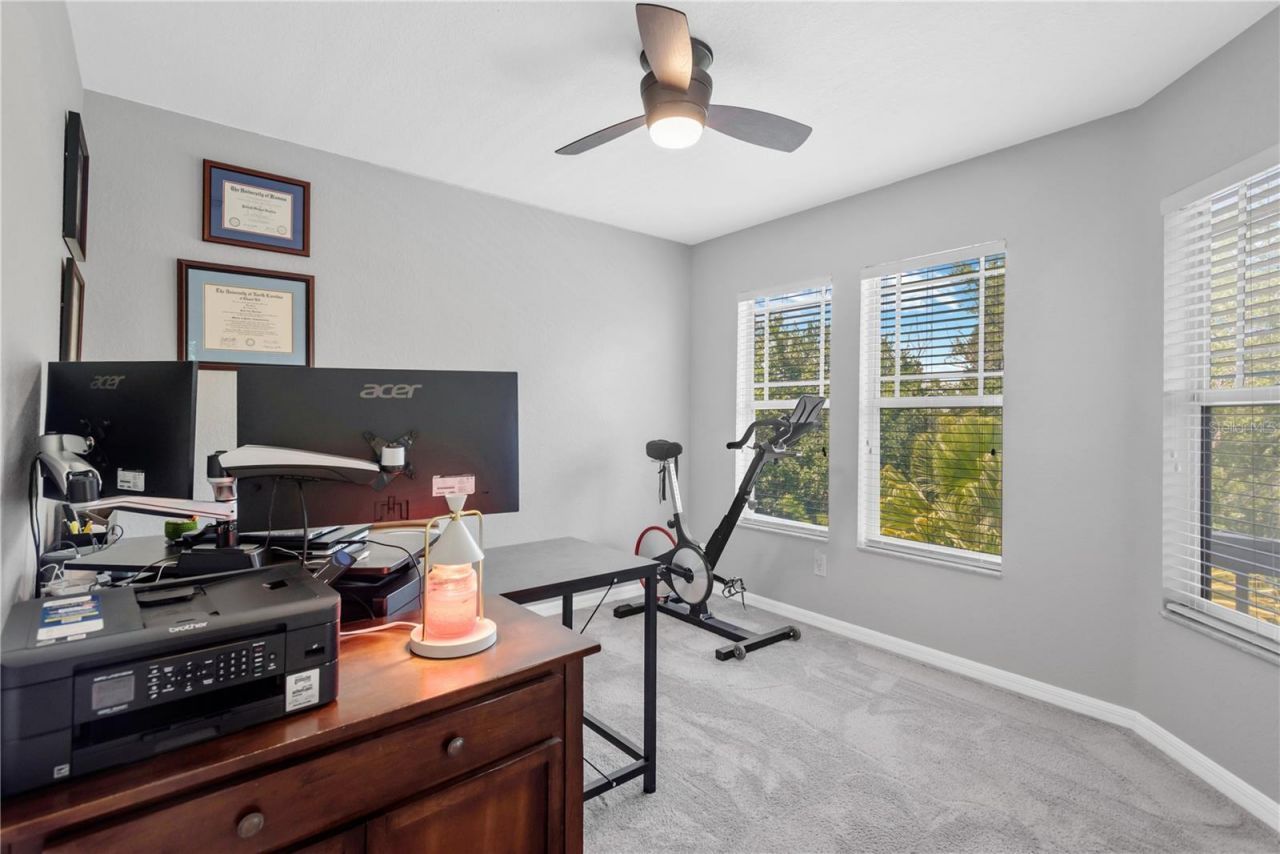 2852 Bayshore Trails Dr, Tampa, FL 33611 Photo