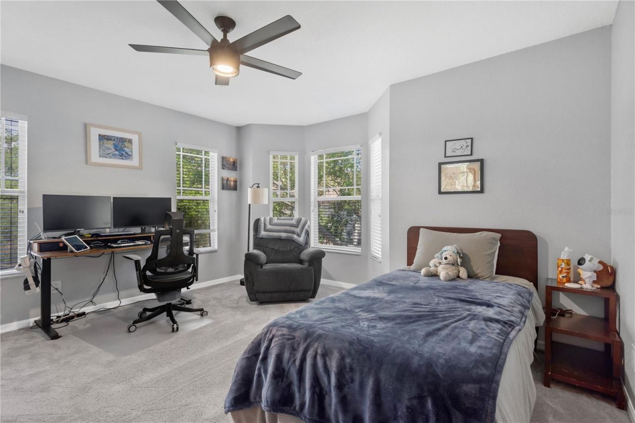 2852 Bayshore Trails Dr, Tampa, FL 33611 Photo