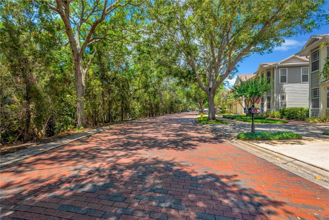 2852 Bayshore Trails Dr, Tampa, FL 33611 Photo