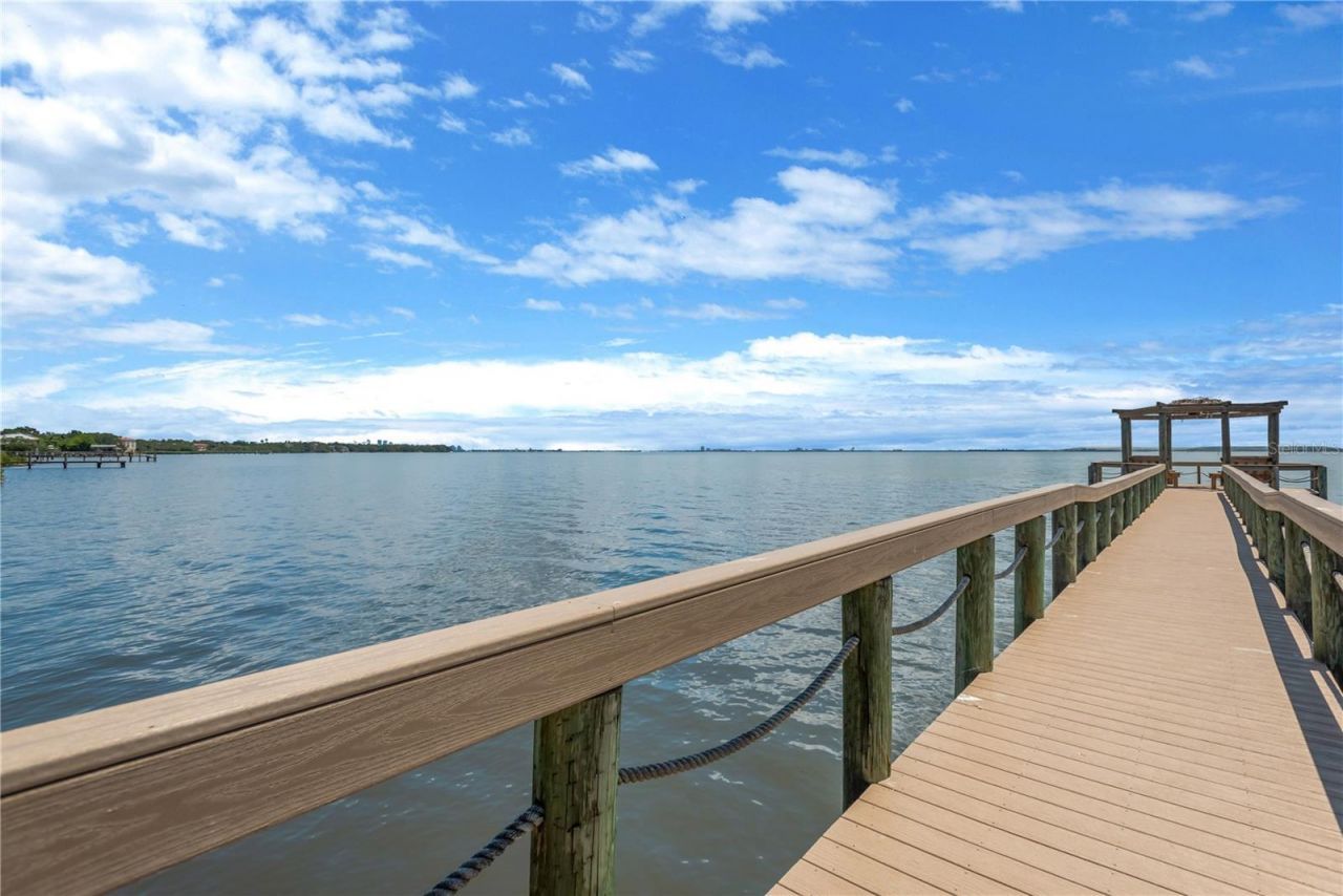 2852 Bayshore Trails Dr, Tampa, FL 33611 Photo