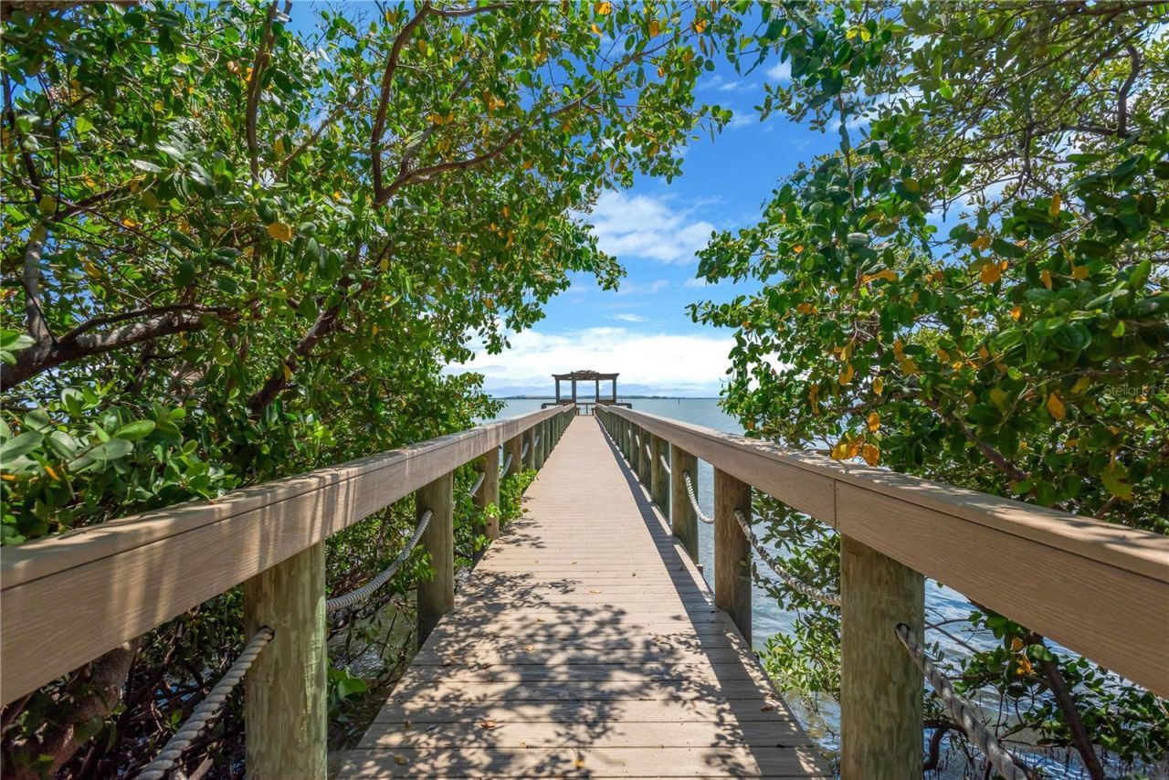 2852 Bayshore Trails Dr, Tampa, FL 33611 Photo