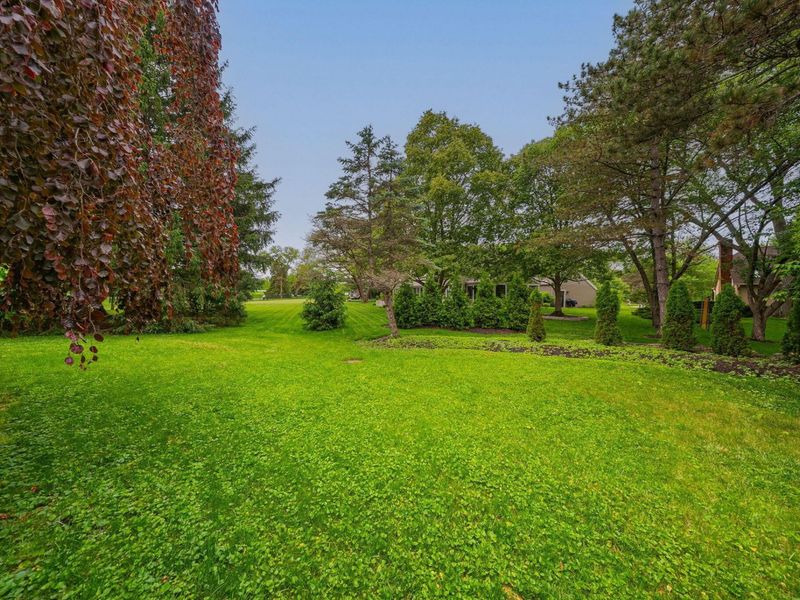 8936 Lea Court, Dublin, OH 43017 Photo 69