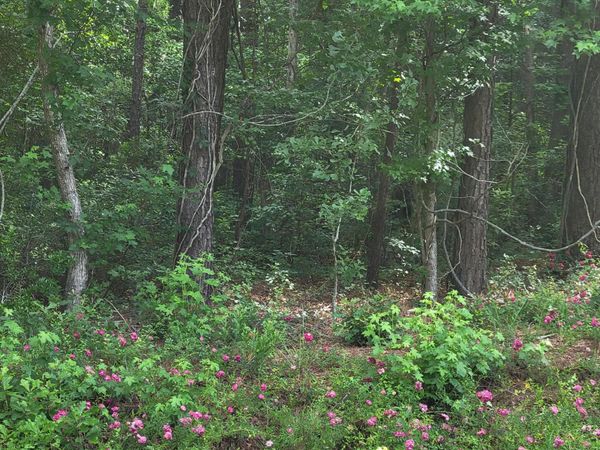 Lot 5-A Porter Road , Currie, NC 28435