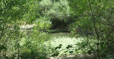 2563 Woodhouse Mine Rd, West Point, CA 95255 Photo