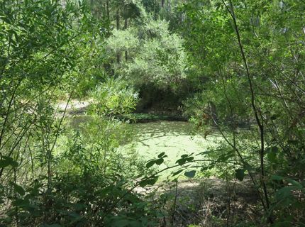 2563 Woodhouse Mine Rd, West Point, CA 95255 Photo
