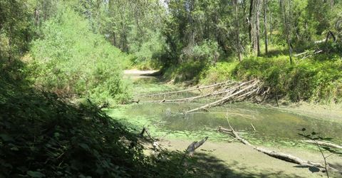 2563 Woodhouse Mine Rd, West Point, CA 95255 Photo