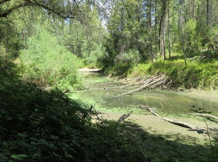 2563 Woodhouse Mine Rd, West Point, CA 95255 Photo