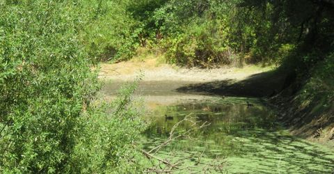 2563 Woodhouse Mine Rd, West Point, CA 95255 Photo
