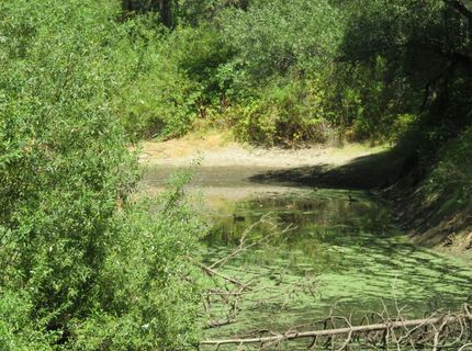 2563 Woodhouse Mine Rd, West Point, CA 95255 Photo