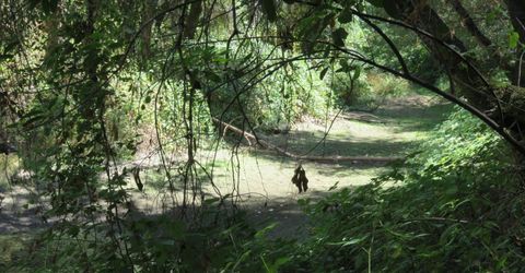 2563 Woodhouse Mine Rd, West Point, CA 95255 Photo