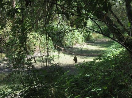 2563 Woodhouse Mine Rd, West Point, CA 95255 Photo