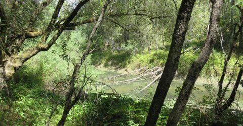 2563 Woodhouse Mine Rd, West Point, CA 95255 Photo