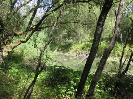 2563 Woodhouse Mine Rd, West Point, CA 95255 Photo