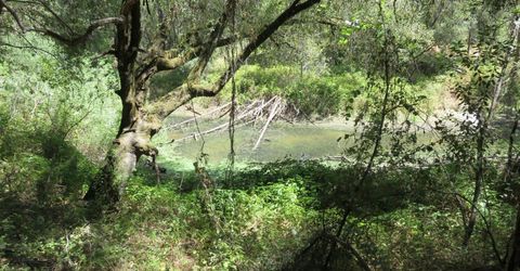 2563 Woodhouse Mine Rd, West Point, CA 95255 Photo
