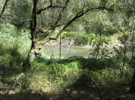 2563 Woodhouse Mine Rd, West Point, CA 95255 Photo