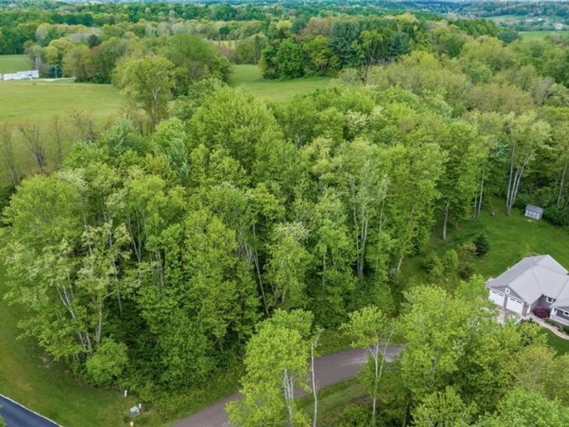 2950 Corbin Drive, Zanesville, OH 43701 Photo 2