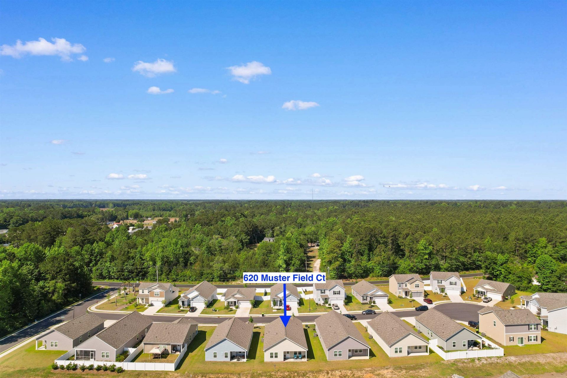 620 Muster Field Ct.  Photo 36