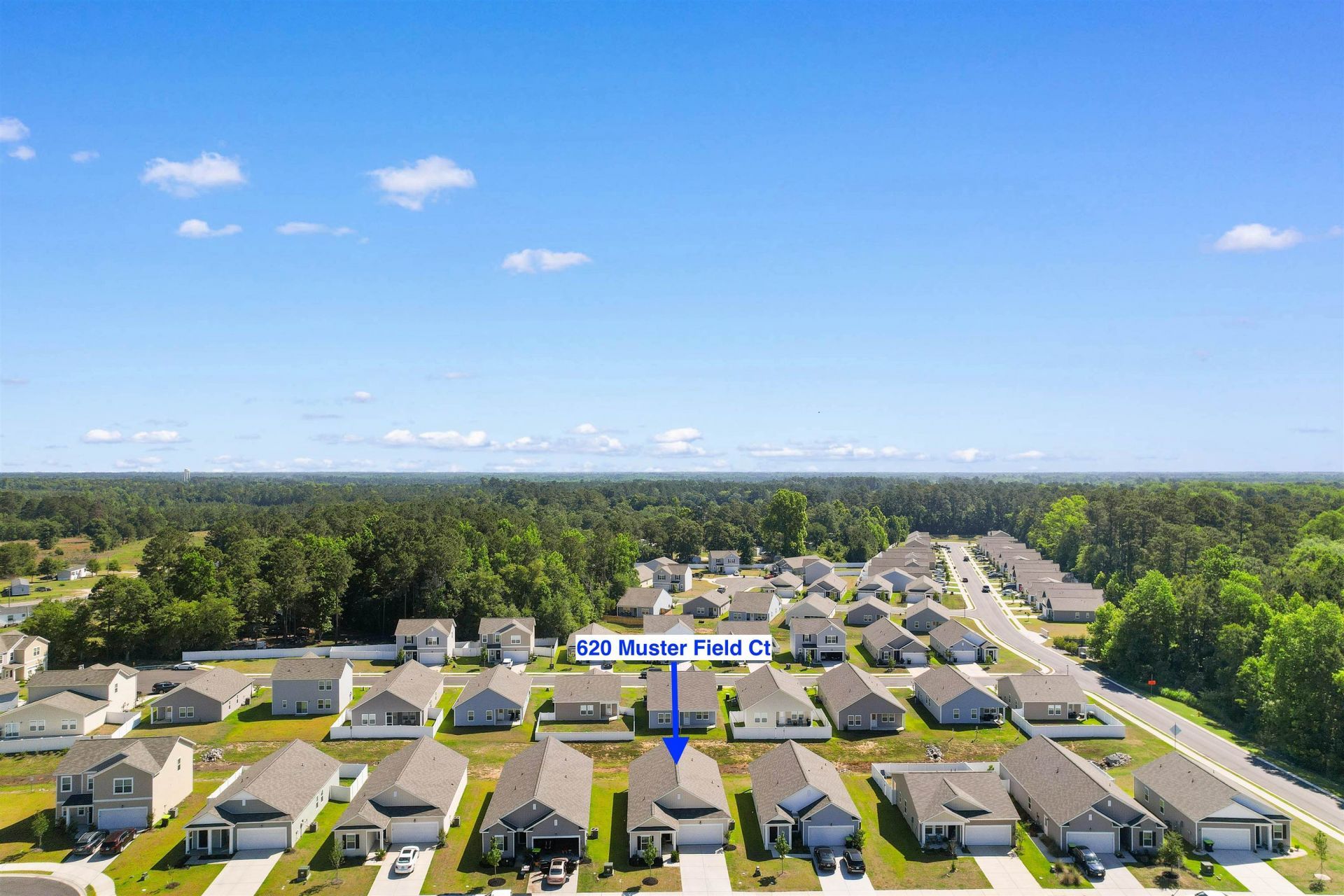 620 Muster Field Ct.  Photo 38
