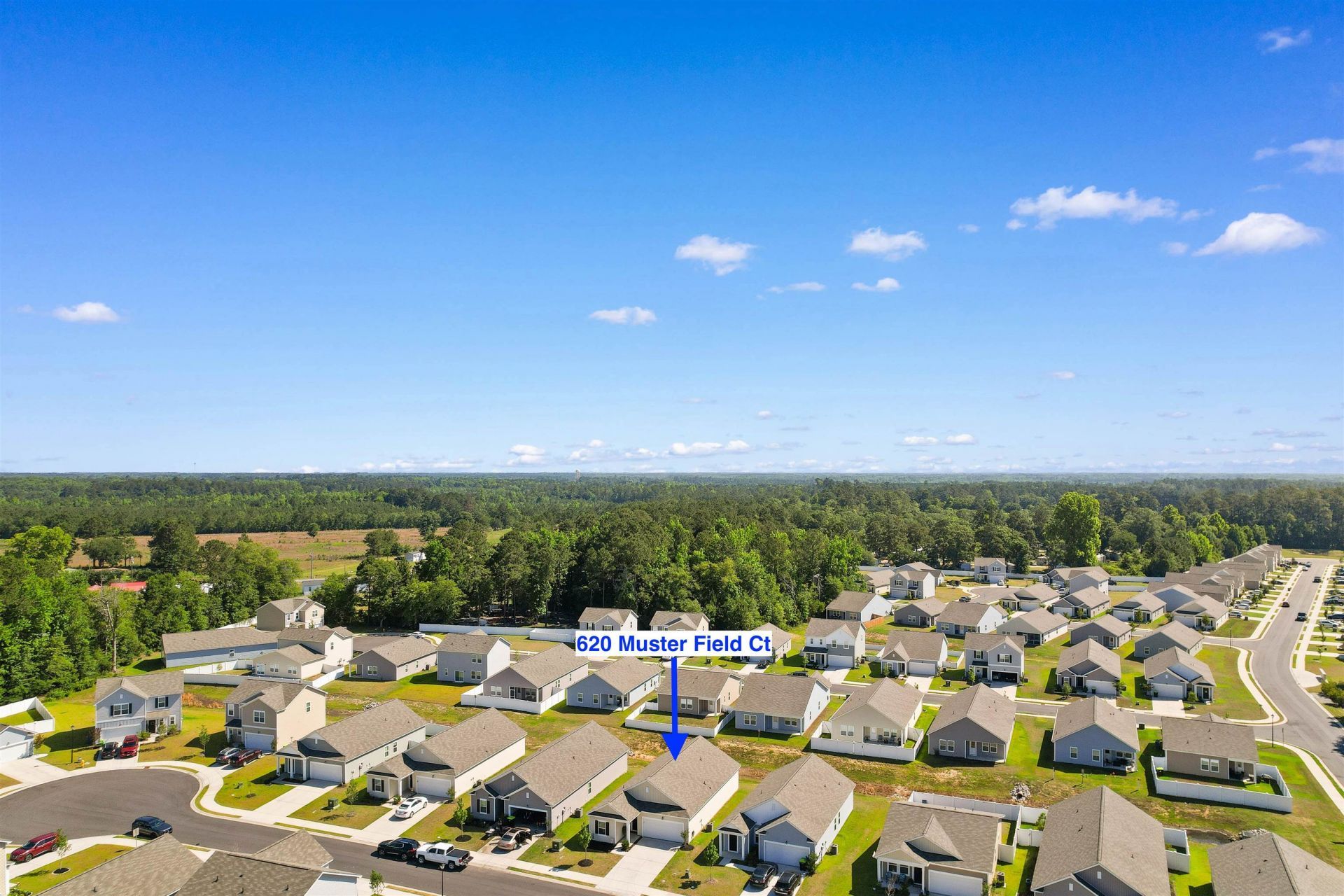 620 Muster Field Ct.  Photo 39
