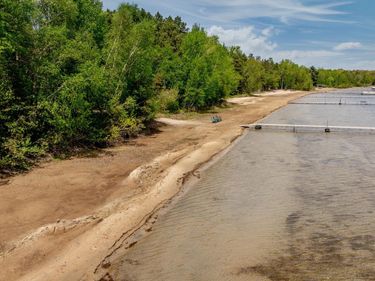 29246 Huxtable Point Road, Merrifield, MN 56465
