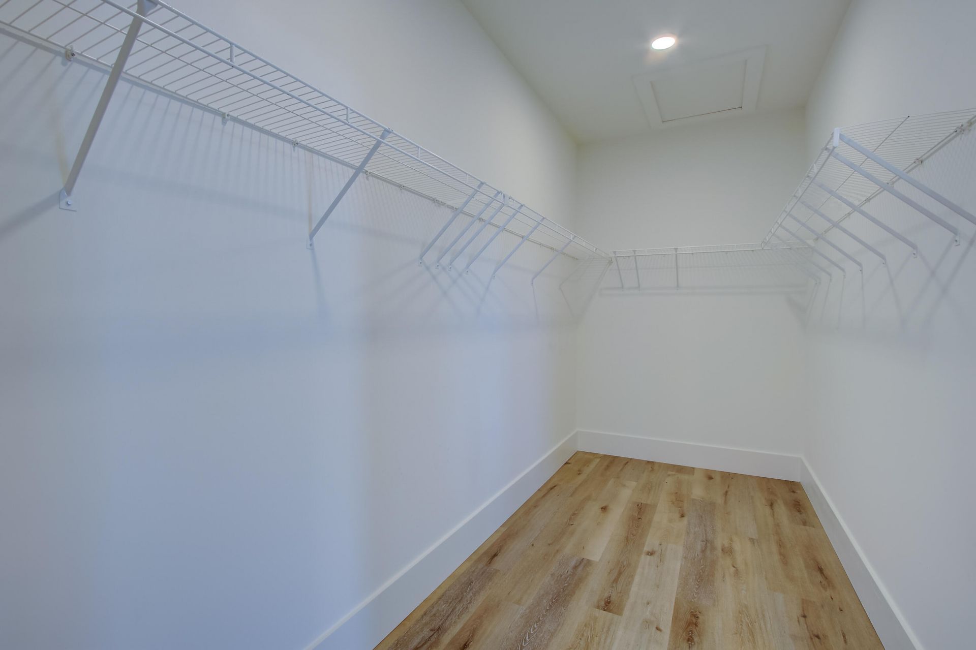 100 True Blue Loop Photo 17