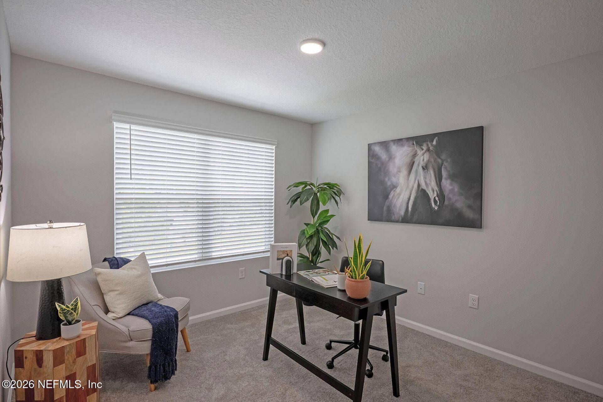 3372 Tiger Hole Road, Jacksonville, FL 32216 Photo