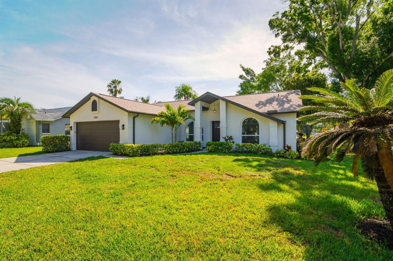 1043 Ridge View Lane, Palm Harbor, FL 34683 Photo