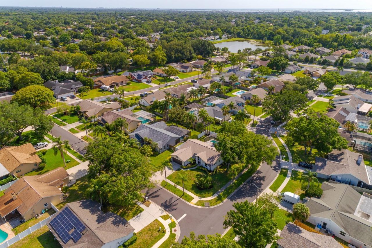1043 Ridge View Lane , Palm Harbor, FL 34683 Photo