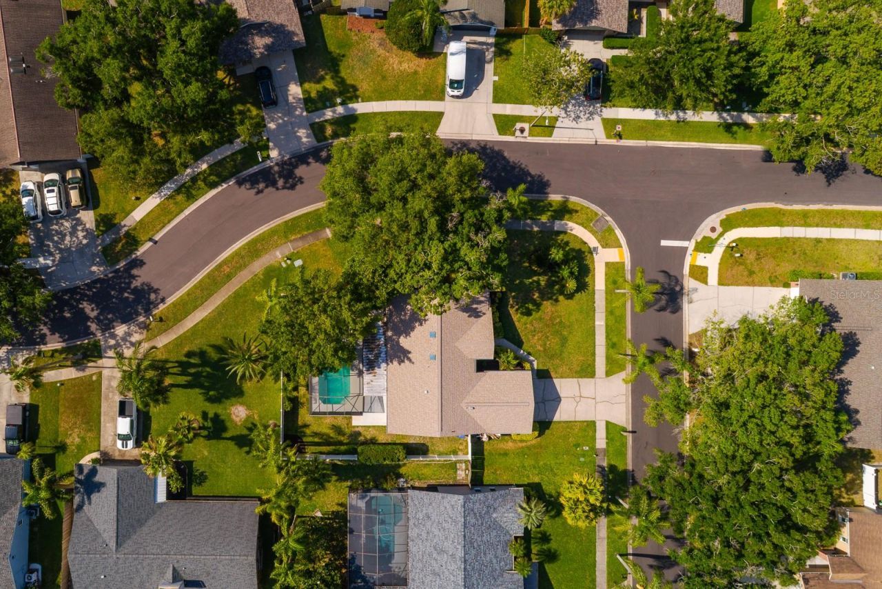 1043 Ridge View Lane , Palm Harbor, FL 34683 Photo