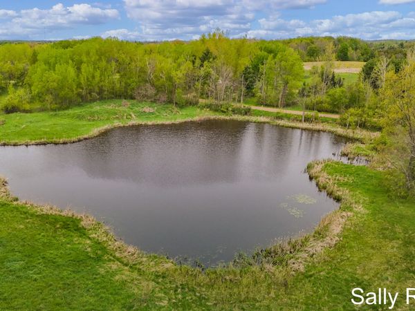 30 Acres 9 Mile Road, Reed City, MI 49677