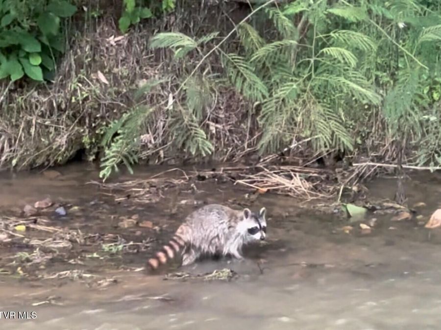 Property Image 103