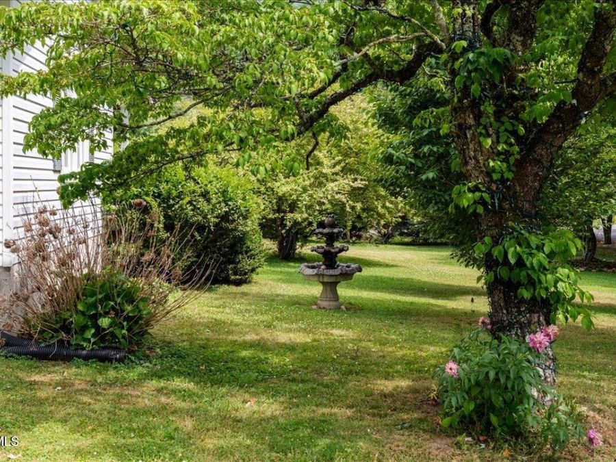 Property Image 85