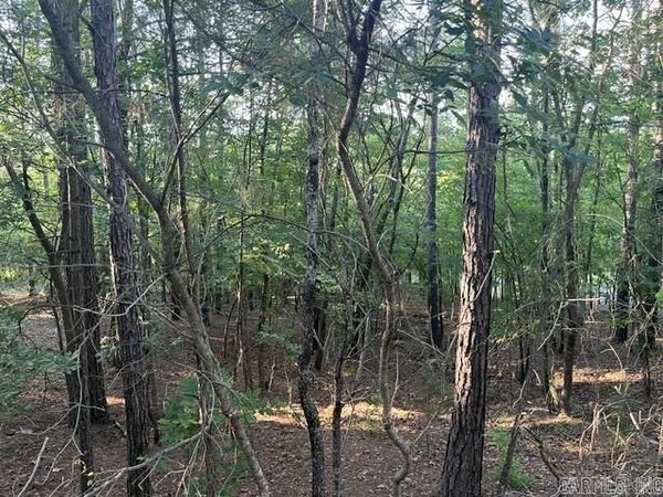 26 Piocha Lane , Hot Springs Village, AR 71909