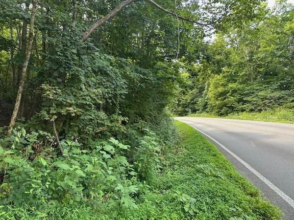 Wilder, TN 38589