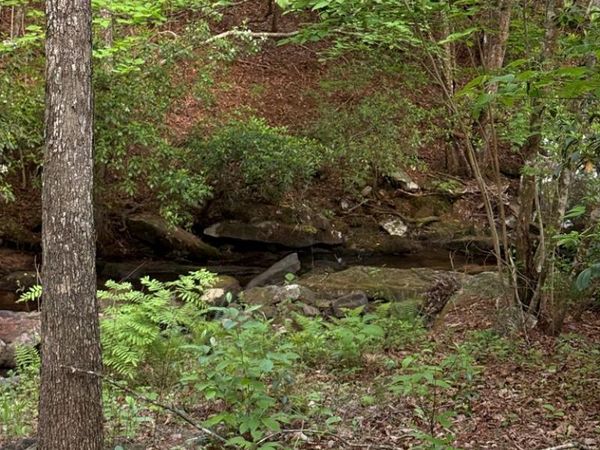 0 Genesis Rd. - 10.14 Acres, Crossville, TN 38571