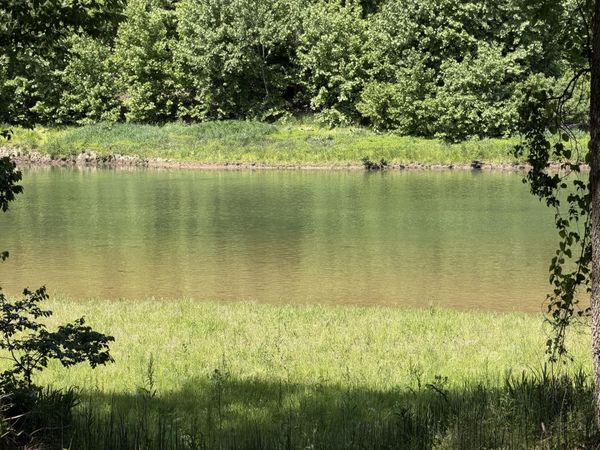 000 County Road 318 , Unit Lot 4, Tecumseh, MO 65760