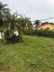3693 Lakewood Road, Palm Springs, FL 33461 Photo