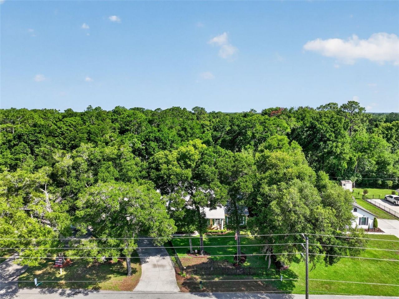 26243 Troon Avenue, Mount Plymouth, FL 32776 Photo