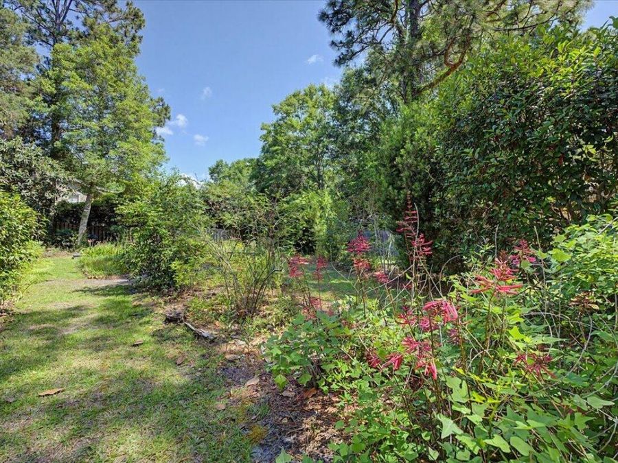 Property Image 58