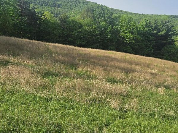 L15.14 Colby Road, Schoharie, NY 12157