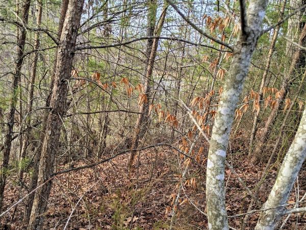 6220-6224 Outlook Tr, Russellville, TN 37860