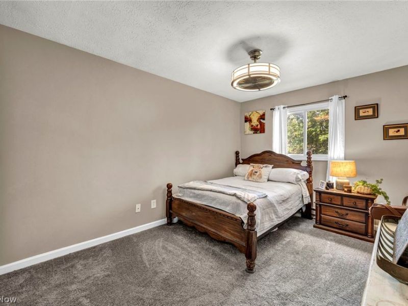 4621 Tanglewood Drive, Lorain, OH 44053 Photo 20