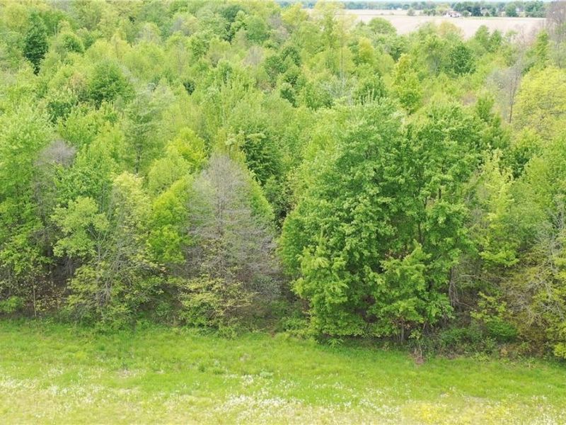 YOUNGSTOWN KINGSVILLE, Cortland, OH 44410 Photo 8