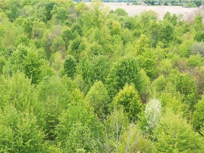 YOUNGSTOWN KINGSVILLE, Cortland, OH 44410 Photo 9