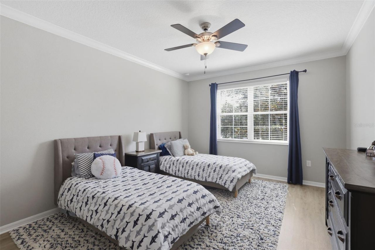 1065 Calla Lily Cove, Oviedo, FL 32766 Photo