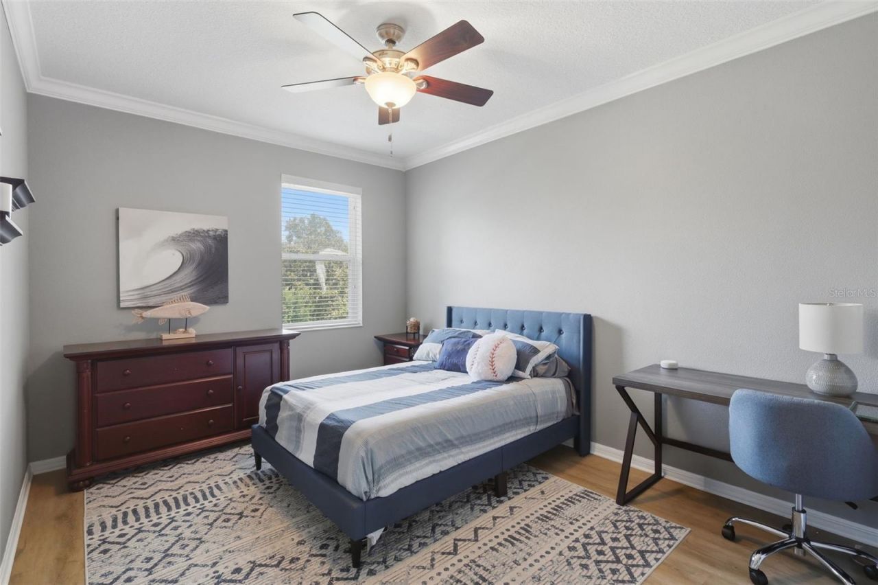 1065 Calla Lily Cove, Oviedo, FL 32766 Photo