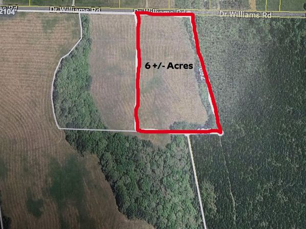 01 DR WILLIAMS RD, Michie, TN 38357