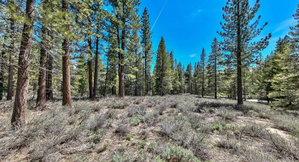 2 Sawmill Road, South Lake Tahoe, CA 96150 Photo