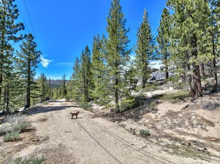 Please Call For Address, South Lake Tahoe, CA 96150 Photo