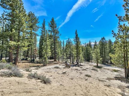 Please Call For Address, South Lake Tahoe, CA 96150 Photo